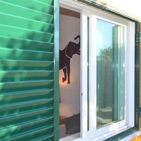 Private Rego With Oceanview And Pool Willa